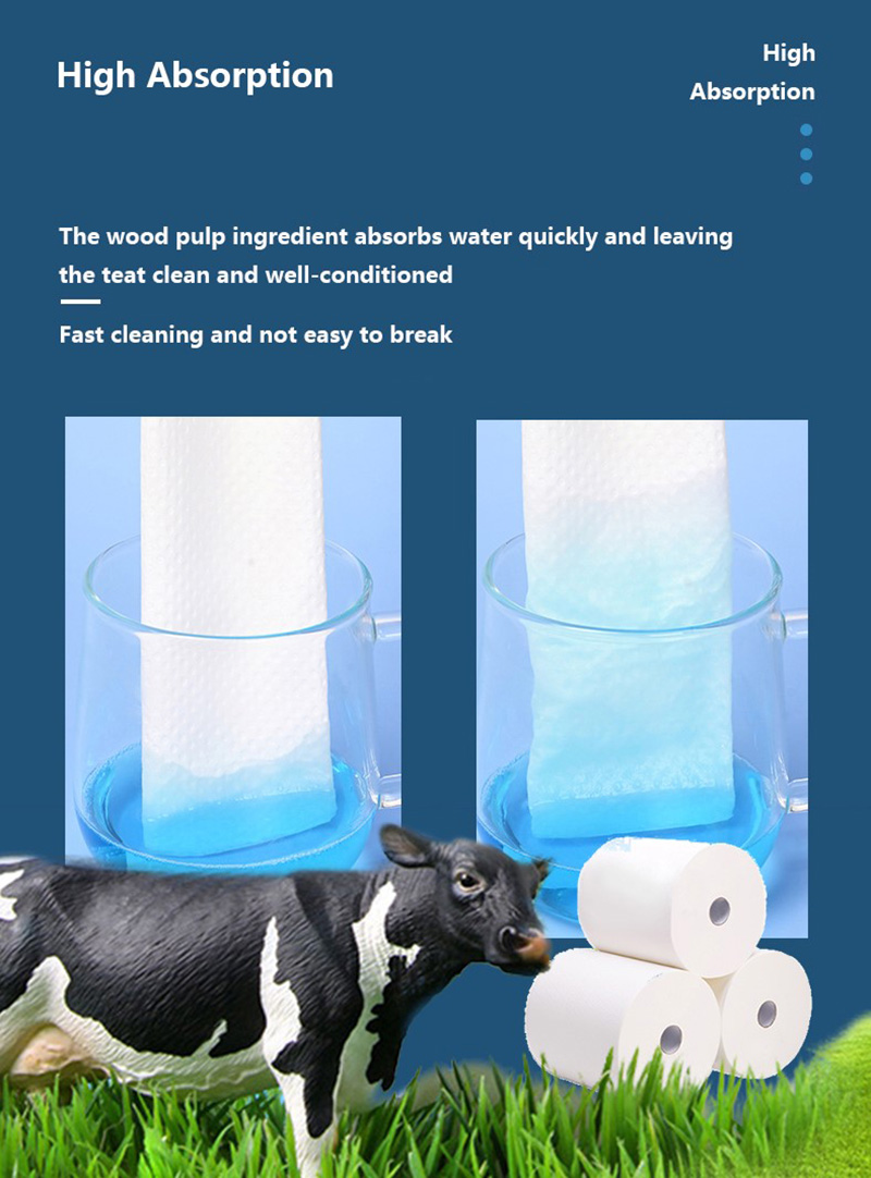 Cow-teat-wipes4